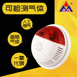 永康牌電化學一氧化碳煤氣co泄漏報警器產品圖片高清大圖