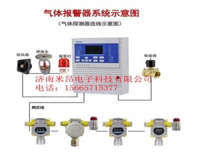 2020年防爆型油漆氣體報警器 產品安全可靠