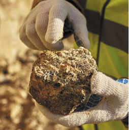 2019年歐洲標準化及相關(guān)活動在采礦與金屬業(yè)金屬礦石領(lǐng)域的進展